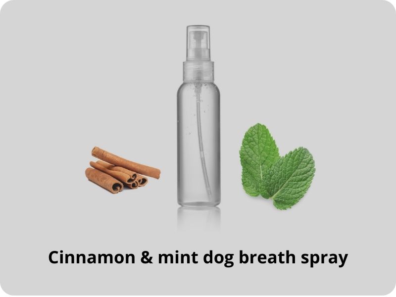 Cinnamon and mint dog breath spray