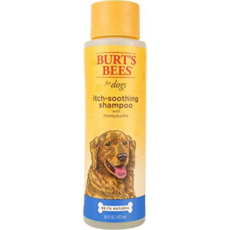 Itch-soothing shampoo for dogs