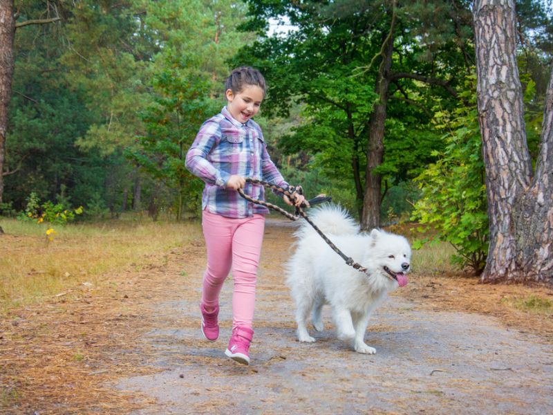 A girl taking a walk with her dog in the forest